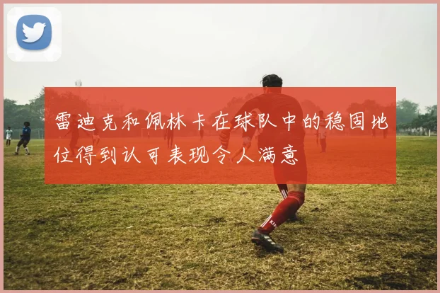 雷迪克和佩林卡在球队中的稳固地位得到认可表现令人满意