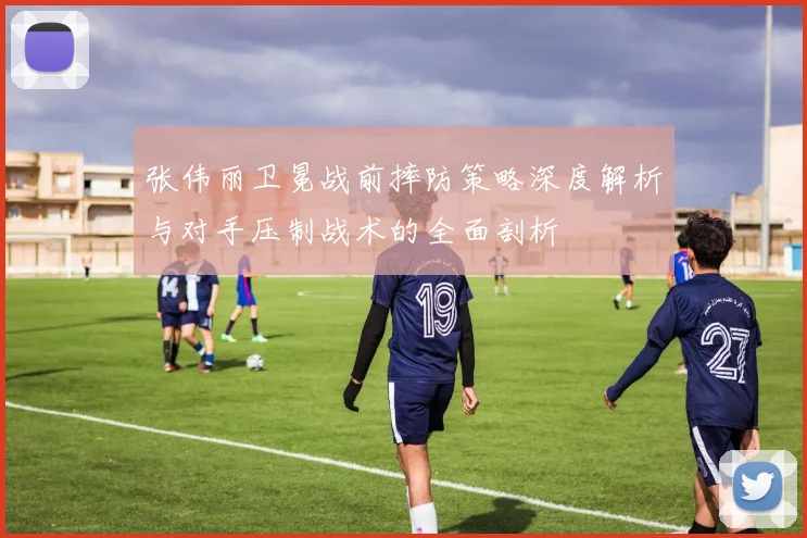 张伟丽卫冕战前摔防策略深度解析与对手压制战术的全面剖析