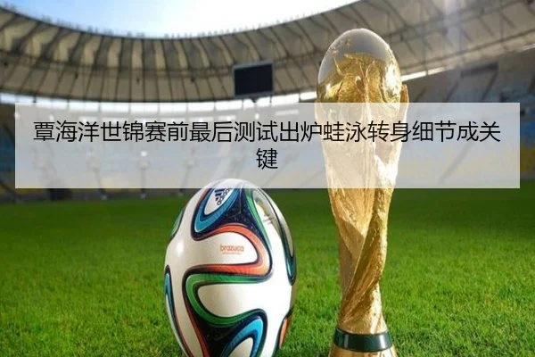 覃海洋世锦赛前最后测试出炉蛙泳转身细节成关键